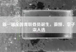 新一届全国青联委员诞生，薇娅、李子柒入选