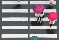 为何清明既是节气又是节日？哪些地方清明时节雨纷纷概率最大