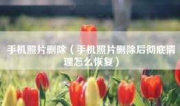 手机照片删除（手机照片删除后彻底清理怎么恢复）