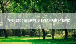企业财会管理数字化转型路径探究