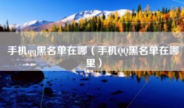 手机qq黑名单在哪（手机QQ黑名单在哪里）