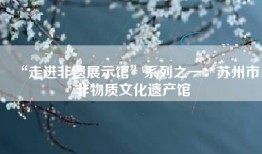 “走进非遗展示馆”系列之一：苏州市非物质文化遗产馆