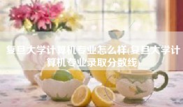 复旦大学计算机专业怎么样(复旦大学计算机专业录取分数线)