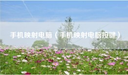 手机映射电脑（手机映射电脑按键）