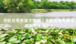 手机充电电量不增加（手机充电电量不增加也不减少）