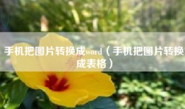 手机把图片转换成word（手机把图片转换成表格）
