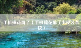 手机摔花屏了（手机摔花屏了出现竖条纹）