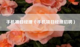 手机项目经理（手机项目经理招聘）