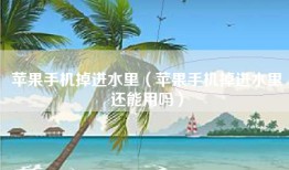 苹果手机掉进水里（苹果手机掉进水里还能用吗）