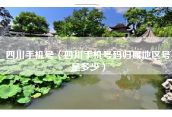 四川手机号（四川手机号码归属地区号是多少）