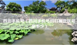 四川手机号（四川手机号码归属地区号是多少）