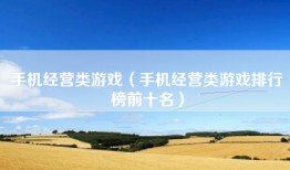 手机经营类游戏（手机经营类游戏排行榜前十名）