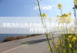 手机为什么开不开机（苹果手机为什么开不开机）
