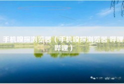 手机嗅探浏览器（手机嗅探浏览器 哔哩哔哩）