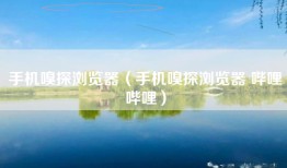 手机嗅探浏览器（手机嗅探浏览器 哔哩哔哩）