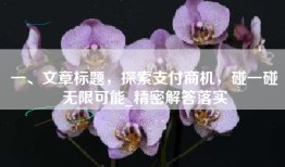 一、文章标题，探索支付商机，碰一碰无限可能_精密解答落实