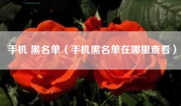 手机 黑名单（手机黑名单在哪里查看）