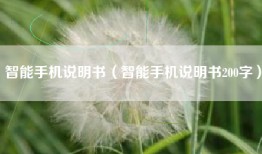 智能手机说明书（智能手机说明书200字）
