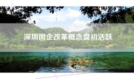 深圳国企改革概念盘初活跃