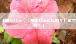手机版12306（手机版12306可以购买儿童票吗？）