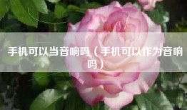 手机可以当音响吗（手机可以作为音响吗）