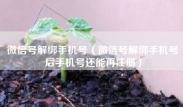 微信号解绑手机号（微信号解绑手机号后手机号还能再注册）