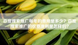 百度搜索推广每年的费用是多少？百度搜索推广的收费准则是怎样的？