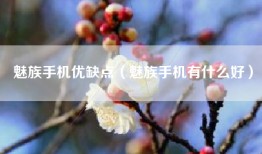 魅族手机优缺点（魅族手机有什么好）
