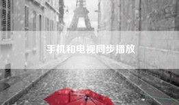手机和电视同步播放