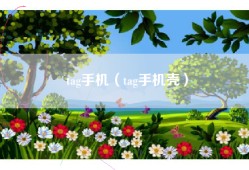 tag手机（tag手机壳）