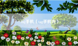tag手机（tag手机壳）