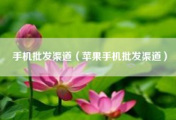 手机批发渠道（苹果手机批发渠道）