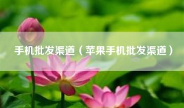 手机批发渠道（苹果手机批发渠道）