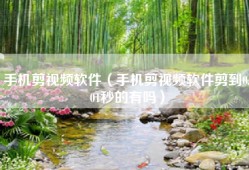 手机剪视频软件（手机剪视频软件剪到0.01秒的有吗）