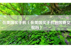 在美国买手机（在美国买手机回国要交税吗）