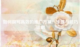 如何撰写高效的推广方案：步骤与技巧详解