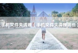 手机文件夹清理（手机文件夹清理哪些）