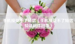 手机接受不了短信（手机接受不了短信验证码咋回事）