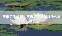 手机丢失报警（手机丢失报警打什么电话）