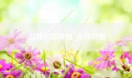 在线识图找图_在线识图