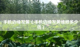 手机边缘发黄（手机边缘发黄维修多少钱）