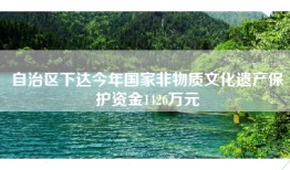 自治区下达今年国家非物质文化遗产保护资金1426万元