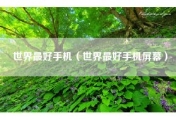 世界最好手机（世界最好手机屏幕）