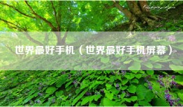 世界最好手机（世界最好手机屏幕）