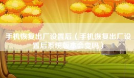 手机恢复出厂设置后（手机恢复出厂设置后系统版本会变吗）
