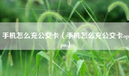 手机怎么充公交卡（手机怎么充公交卡oppo）