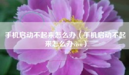 手机启动不起来怎么办（手机启动不起来怎么办vivo）