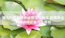 哪儿可办新媒体运营培训师证 新媒体运营培训师证有几个等级