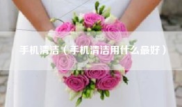 手机清洁（手机清洁用什么最好）
