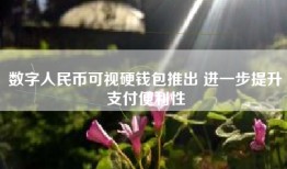 数字人民币可视硬钱包推出 进一步提升支付便利性